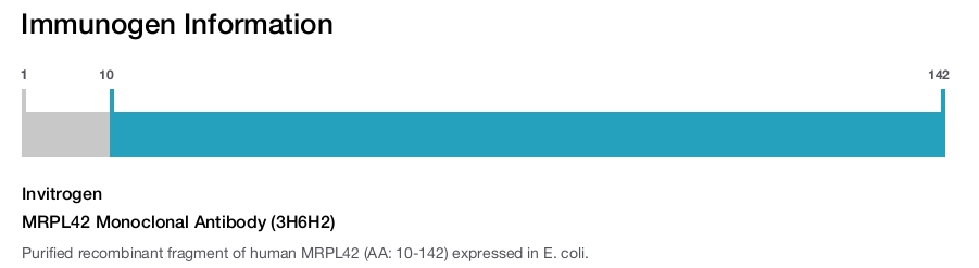 MRPL42 Monoclonal Antibody (3H6H2)