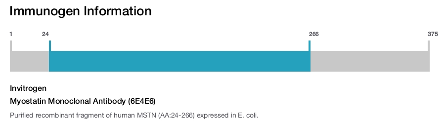 Myostatin Monoclonal Antibody (6E4E6)