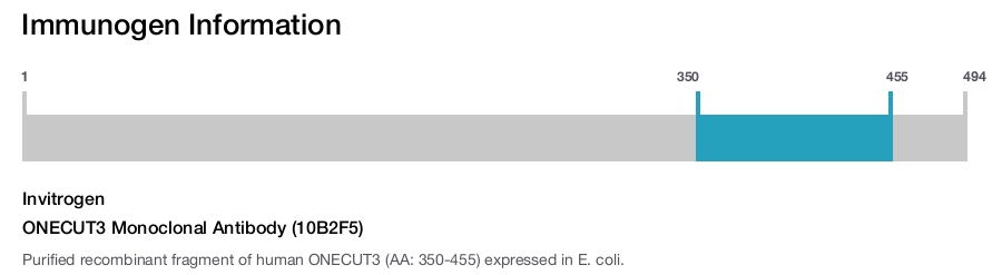 ONECUT3 Monoclonal Antibody (10B2F5)