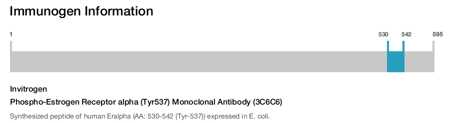 Phospho-Estrogen Receptor alpha (Tyr537) Monoclonal Antibody (3C6C6)