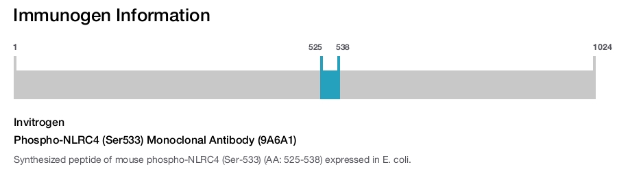 Phospho-NLRC4 (Ser533) Monoclonal Antibody (9A6A1)