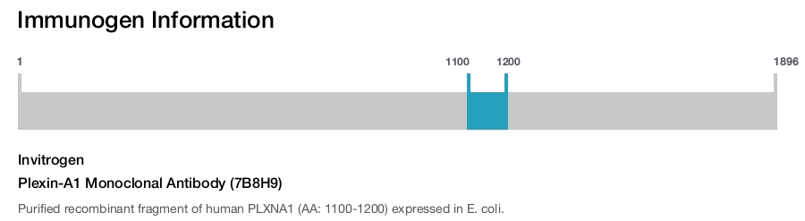Plexin-A1 Monoclonal Antibody (7B8H9)