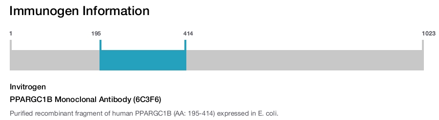 PPARGC1B Monoclonal Antibody (6C3F6)