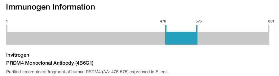 PRDM4 Monoclonal Antibody (4B6G1)