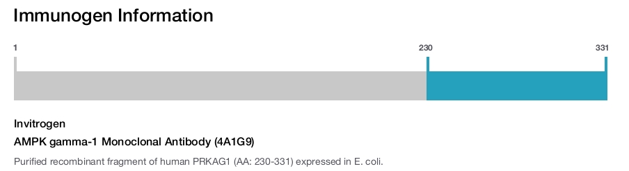 AMPK gamma-1 Monoclonal Antibody (4A1G9)