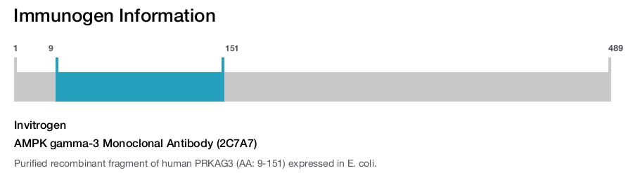 AMPK gamma-3 Monoclonal Antibody (2C7A7)