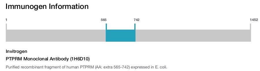 PTPRM Monoclonal Antibody (1H6D10)