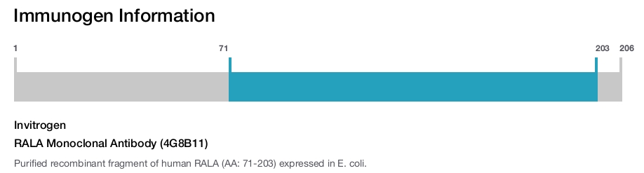 RALA Monoclonal Antibody (4G8B11)