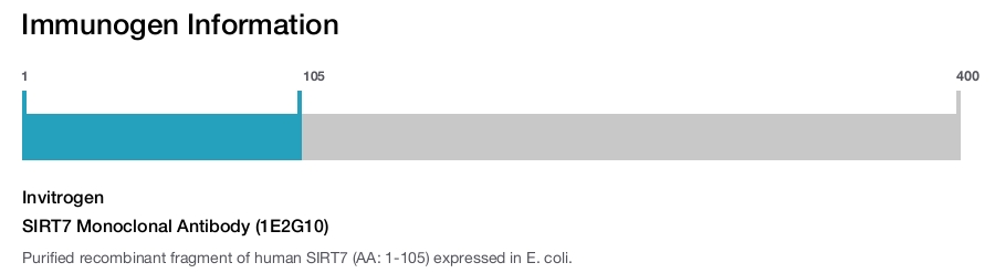 SIRT7 Monoclonal Antibody (1E2G10)