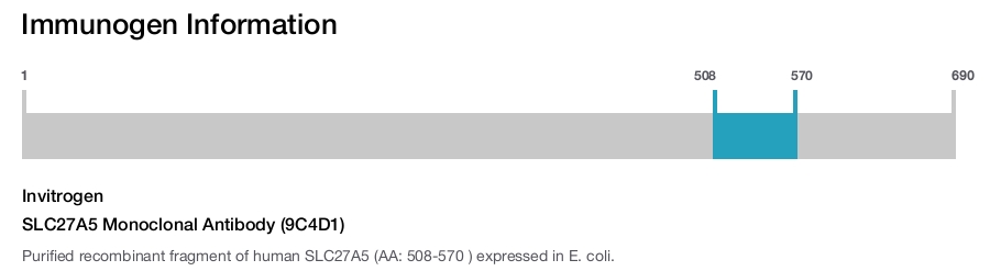 SLC27A5 Monoclonal Antibody (9C4D1)