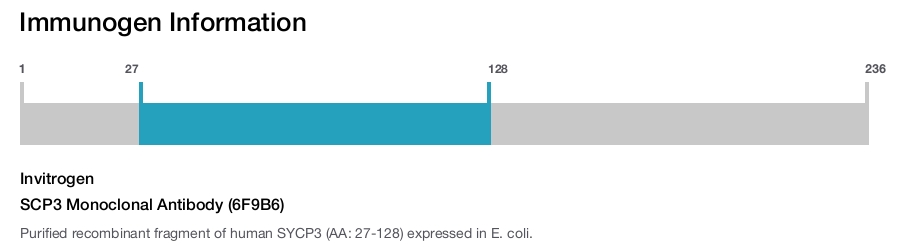 SCP3 Monoclonal Antibody (6F9B6)