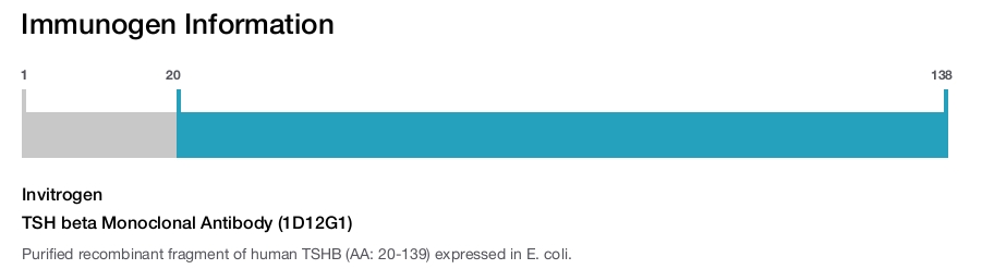 TSH beta Monoclonal Antibody (1D12G1)