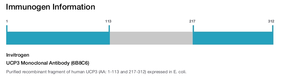 UCP3 Monoclonal Antibody (6B8C6)