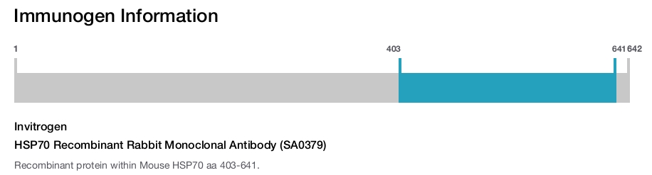 HSP70 Recombinant Rabbit Monoclonal Antibody (SA0379)
