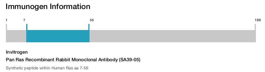 Pan Ras Recombinant Rabbit Monoclonal Antibody (SA39-05)