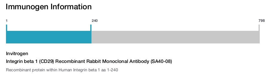 Integrin beta 1 (CD29) Recombinant Rabbit Monoclonal Antibody (SA40-08)