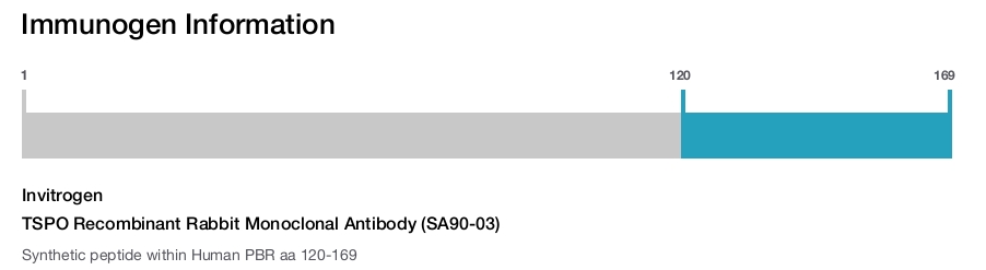 TSPO Recombinant Rabbit Monoclonal Antibody (SA90-03)