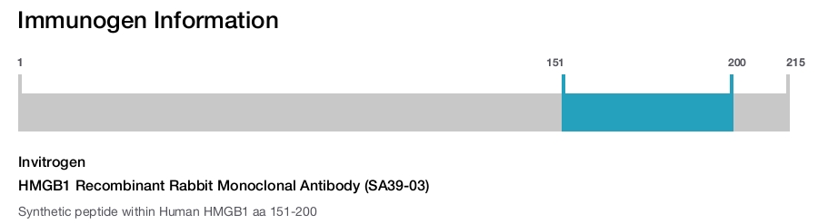 HMGB1 Recombinant Rabbit Monoclonal Antibody (SA39-03)