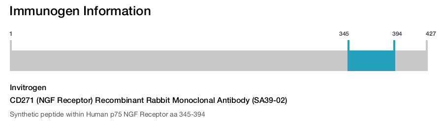 CD271 (NGF Receptor) Recombinant Rabbit Monoclonal Antibody (SA39-02)