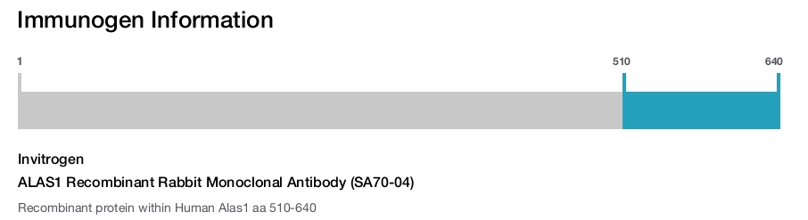 ALAS1 Recombinant Rabbit Monoclonal Antibody (SA70-04)