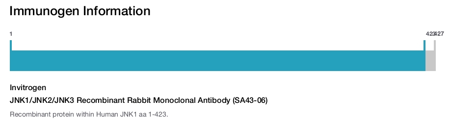 JNK1/JNK2/JNK3 Recombinant Rabbit Monoclonal Antibody (SA43-06)