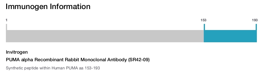 PUMA alpha Recombinant Rabbit Monoclonal Antibody (SR42-09)