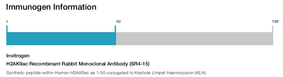 H2AK9ac Recombinant Rabbit Monoclonal Antibody (SR4-15)
