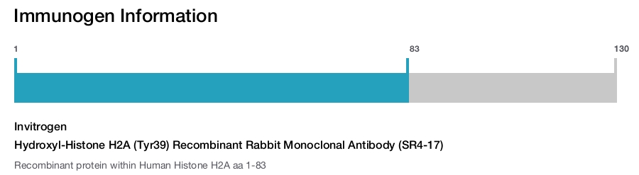 Hydroxyl-Histone H2A (Tyr39) Recombinant Rabbit Monoclonal Antibody (SR4-17)