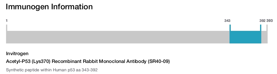 Acetyl-P53 (Lys370) Recombinant Rabbit Monoclonal Antibody (SR40-09)