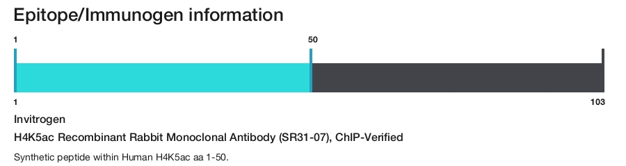 H4K5ac Recombinant Rabbit Monoclonal Antibody (SR31-07), ChIP-Verified