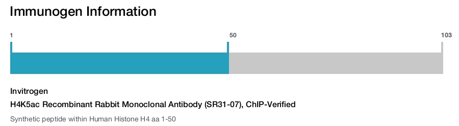 H4K5ac Recombinant Rabbit Monoclonal Antibody (SR31-07), ChIP-Verified