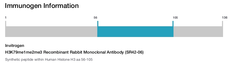 H3K79me1me2me3 Recombinant Rabbit Monoclonal Antibody (SR42-06)
