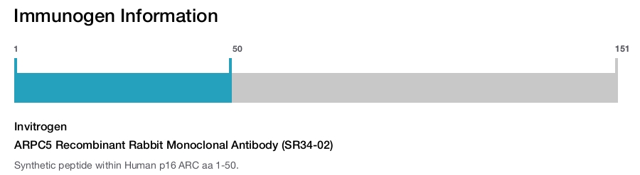 ARPC5 Recombinant Rabbit Monoclonal Antibody (SR34-02)