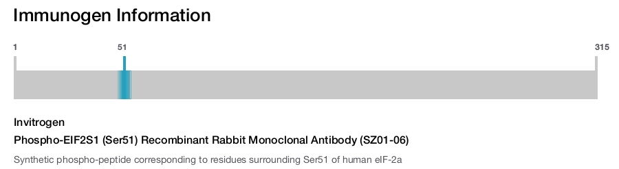 Phospho-EIF2S1 (Ser51) Recombinant Rabbit Monoclonal Antibody (SZ01-06)