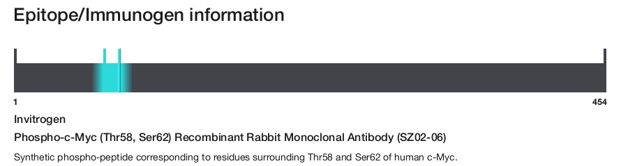Phospho-c-Myc (Thr58, Ser62) Recombinant Rabbit Monoclonal Antibody (SZ02-06)