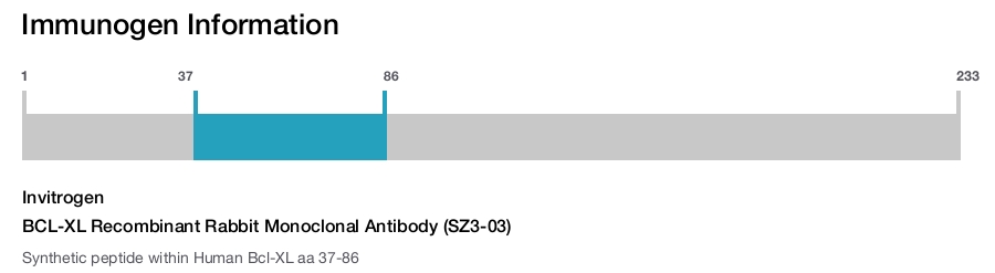 BCL-XL Recombinant Rabbit Monoclonal Antibody (SZ3-03)