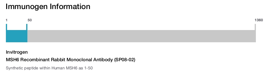 MSH6 Recombinant Rabbit Monoclonal Antibody (SP08-02)