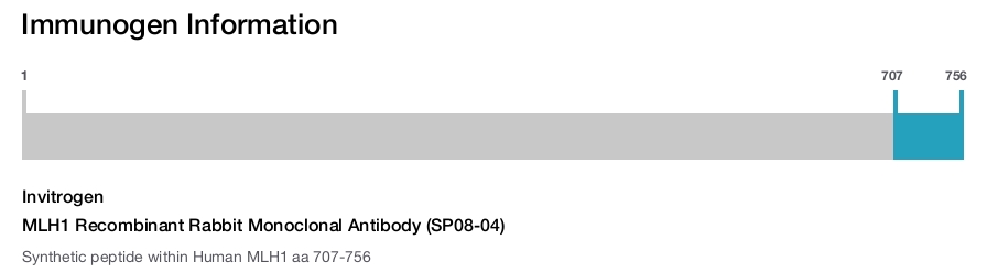 MLH1 Recombinant Rabbit Monoclonal Antibody (SP08-04)