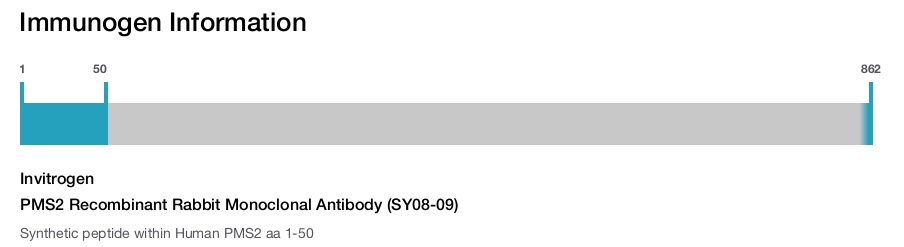 PMS2 Recombinant Rabbit Monoclonal Antibody (SY08-09)