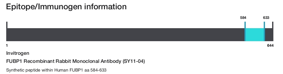 FUBP1 Recombinant Rabbit Monoclonal Antibody (SY11-04)