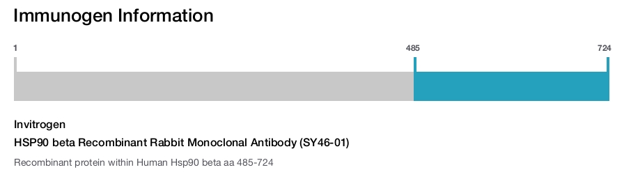 HSP90 beta Recombinant Rabbit Monoclonal Antibody (SY46-01)