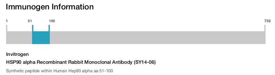 HSP90 alpha Recombinant Rabbit Monoclonal Antibody (SY14-06)