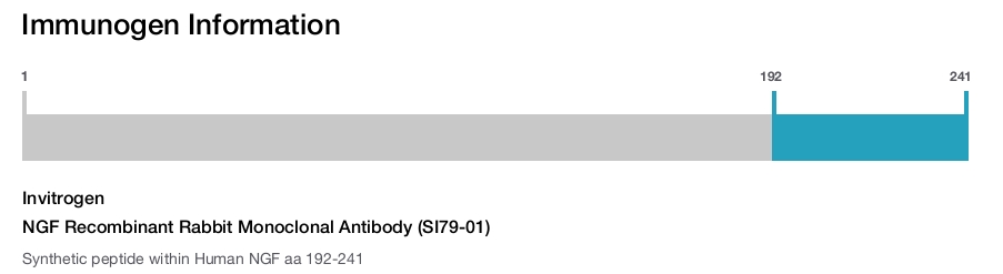NGF Recombinant Rabbit Monoclonal Antibody (SI79-01)