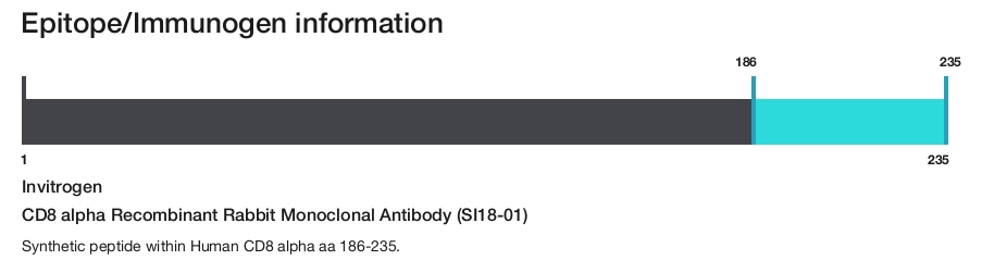 CD8 alpha Recombinant Rabbit Monoclonal Antibody (SI18-01)