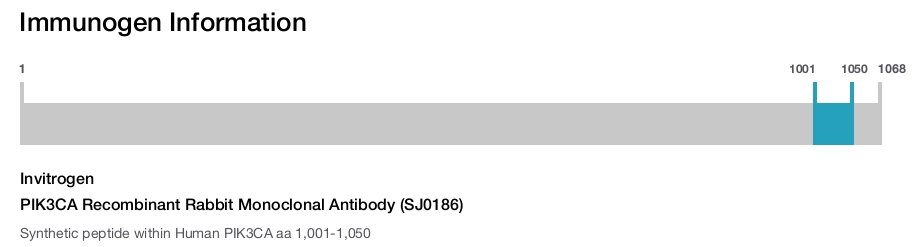 PIK3CA Recombinant Rabbit Monoclonal Antibody (SJ0186)