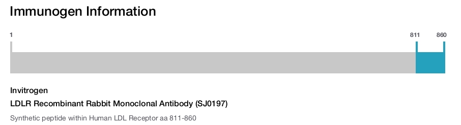 LDLR Recombinant Rabbit Monoclonal Antibody (SJ0197)