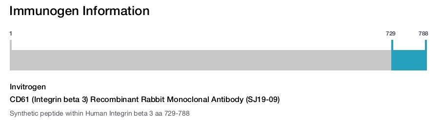 CD61 (Integrin beta 3) Recombinant Rabbit Monoclonal Antibody (SJ19-09)