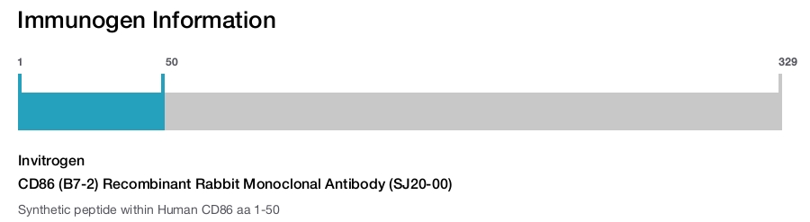 CD86 (B7-2) Recombinant Rabbit Monoclonal Antibody (SJ20-00)