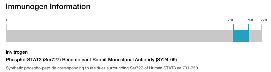 Phospho-STAT3 (Ser727) Recombinant Rabbit Monoclonal Antibody (SY24-09)