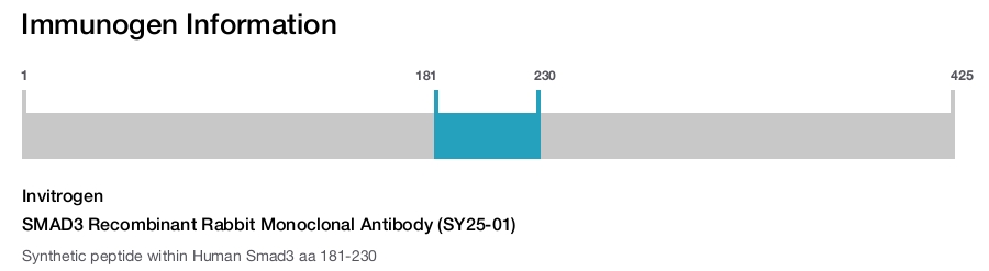 SMAD3 Recombinant Rabbit Monoclonal Antibody (SY25-01)
